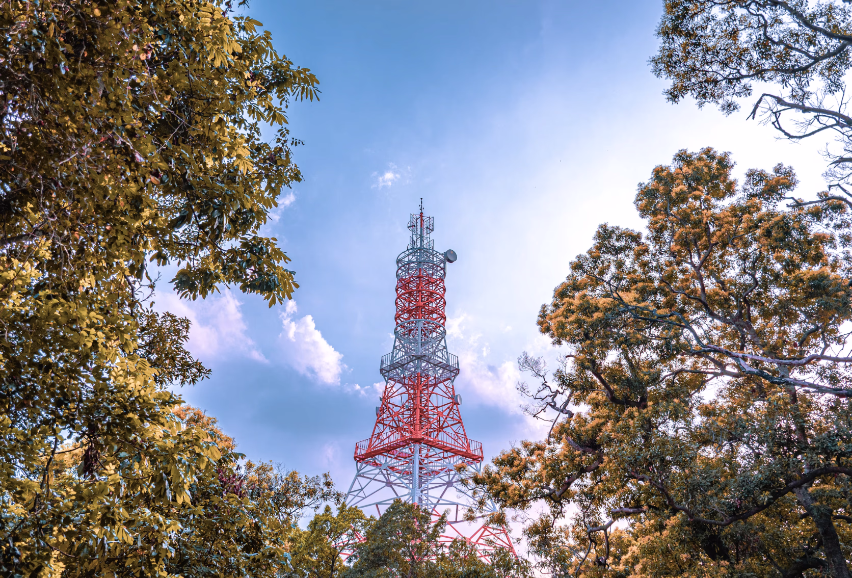 Cell Towers are a Hot Asset Class for Investors